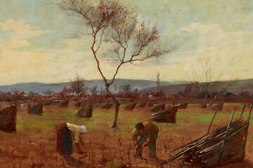 Evolution du paysage viticole, musée du Vin Evolution du paysage viticole, musée du Vin