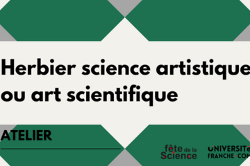 Herbier science artistique ou art scientifique Herbier science artistique ou art scientifique