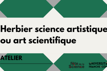 Herbier science artistique ou art scientifique