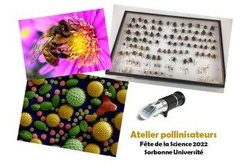 Atelier Pollinisation