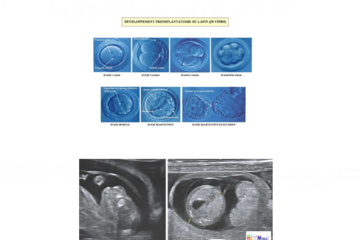 Développement embryonnaire et foetal