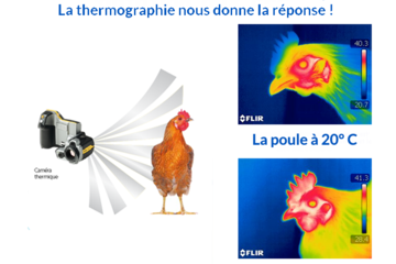 Adaptation animale à la chaleur