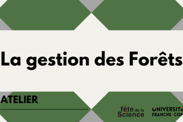 La Gestion des Forêts