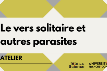 Le vers solitaire et autres parasites