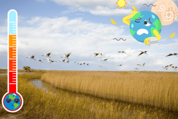© Canva - Association Musée du Sable
