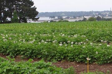 INRAE - Institut National de Recherche pour l'Agriculture, l'Alimentation et l'Environnement.