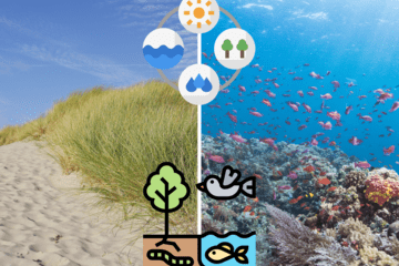 © Canva - Association Musée du Sable