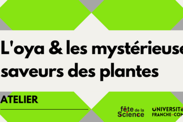 L'oya & Les mystèrieuses saveurs des plantes L'oya & Les mystèrieuses saveurs des plantes