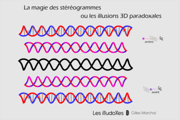 Stéréogramme d'un brin d'ADN : une hélice 3D prend vraiment forme en louchant devant celle du haut ou en regardant "à travers" celle du bas. Les illudoxes 3D