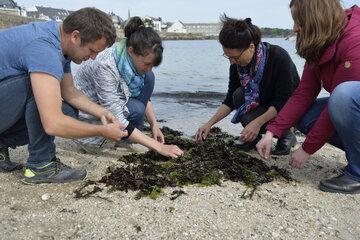 Atelier scolaire proposé par le Village des Sciences de Concarneau