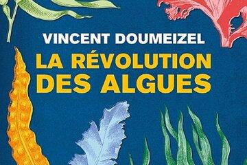 Couverture du livre "La révolution des algues" de Vincent Doumeizel