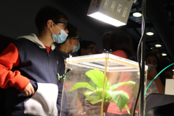 Changements Climatiques