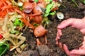 Compost