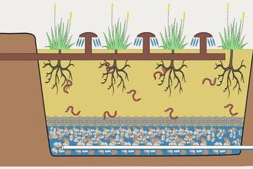 Filtre planté 2.0 - Tr@nsnet