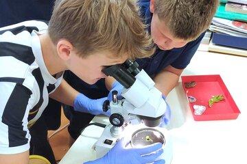 Des enfants utilisent un microscope.