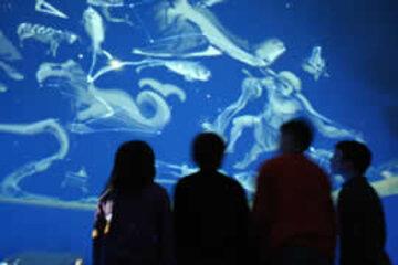 SPICA - PLANETARIUM SPICA - PLANETARIUM