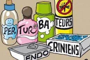Un médecin nous dit tout sur les perturbateurs endocriniens Un médecin nous dit tout sur les perturbateurs endocriniens
