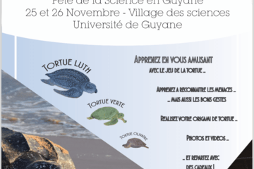 Venez découvrir les tortues marines avec le Réseau Tortues Marines Guyane Flyer Réseau Tortues Marines Guyane