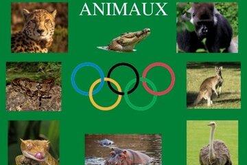 visuel "jeux olympiques des animaux"