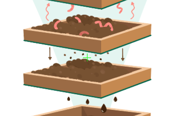 lombricompostage en étage, les vers montent étage par étage pour manger les biodéchets
