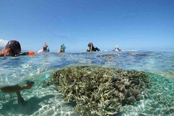 Chasse au trésor sous-marine