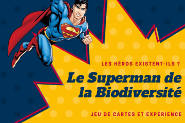visuel "superman de la biodiversité"