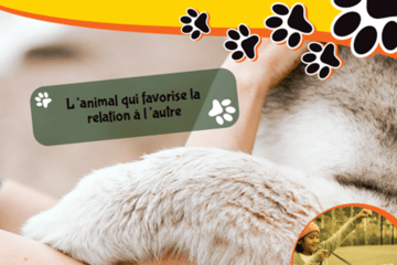 La médiation animale  a pour but de prendre en compte les effets bénéfiques procurés par la relation humain/animal pour apporter un mieux-être à 'homme.