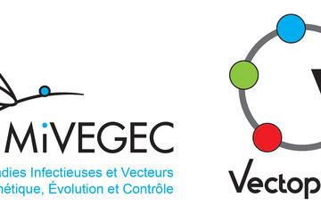 Logo unité MIVEGEC et Réseau Vectopole Sud