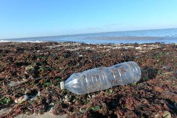 Bouteille en plastique 