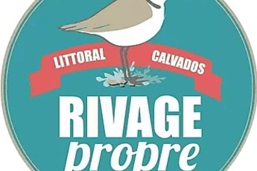 Rivage propre