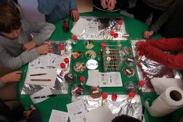 Atelier végétal Atelier végétal
