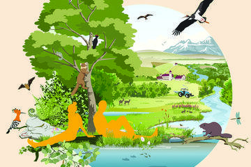 montagne en arriére plan, cours d'eau, faune et flore