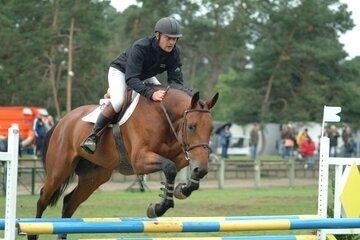 Concours de saut d'obstacle des chevaux de quatre ans lors de la grande semaine de l'élevage à Fontainebleau.