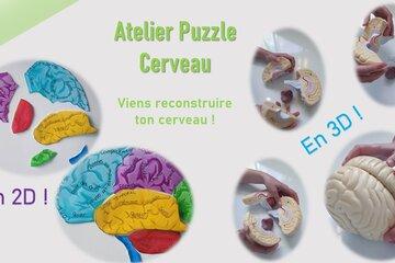 Puzzle Cerveau