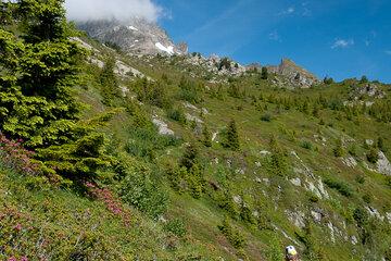 Chemin de randonnée