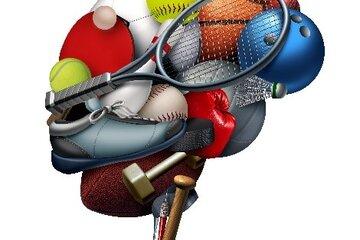 Cerveau et Sport