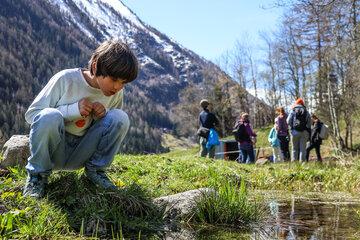 Suivi des têtards de grenouille rousse à Vallorcine (74) FDF Centre-Est x CREA Mont-Blanc - ┬® Justine Peilley Photographie-47