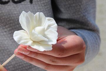 Une rose façonnée en plastique biosourcé