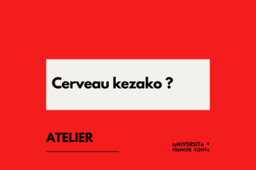 Cerveau kezako ? 