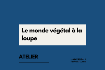 Le monde végétal à la loupe