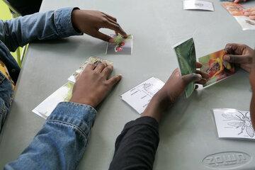 Enfants qui jouent à un jeu de carte sur la biodiversité