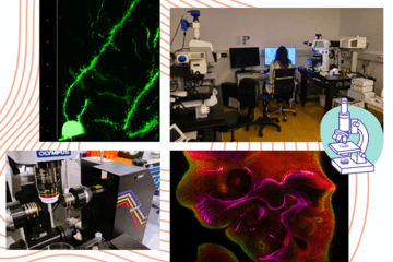 La Plateforme Imagerie à la Fête de la Science