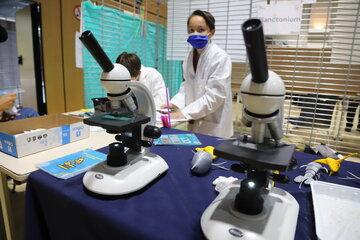 Observation microscopique des microplastiques