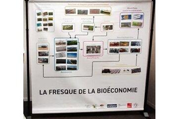 La fresque de la bioéconomie