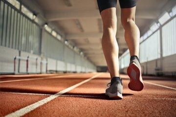 Exposition sur les pratiques physiques et sportives des français