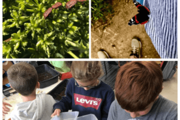 On découvre la biodiversité 