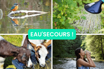 Des usages de l'eau, à partager : biodiversité, humains, agriculture...