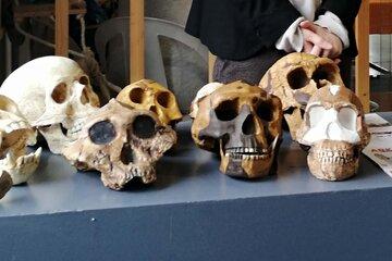 A la rencontre de la paléotologie