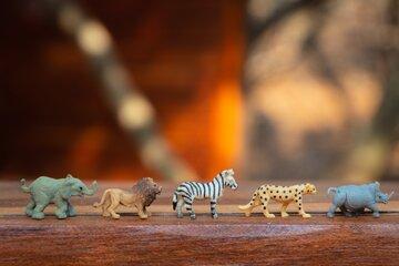 Animaux