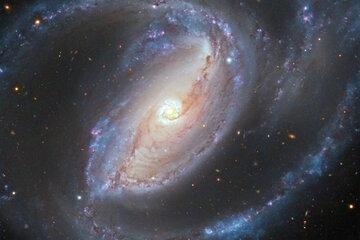 Univers